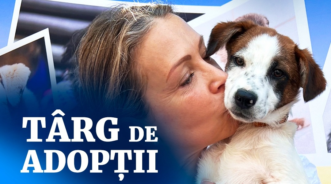 Cel mai mare târg de adopții canine are loc pe Arena Națională