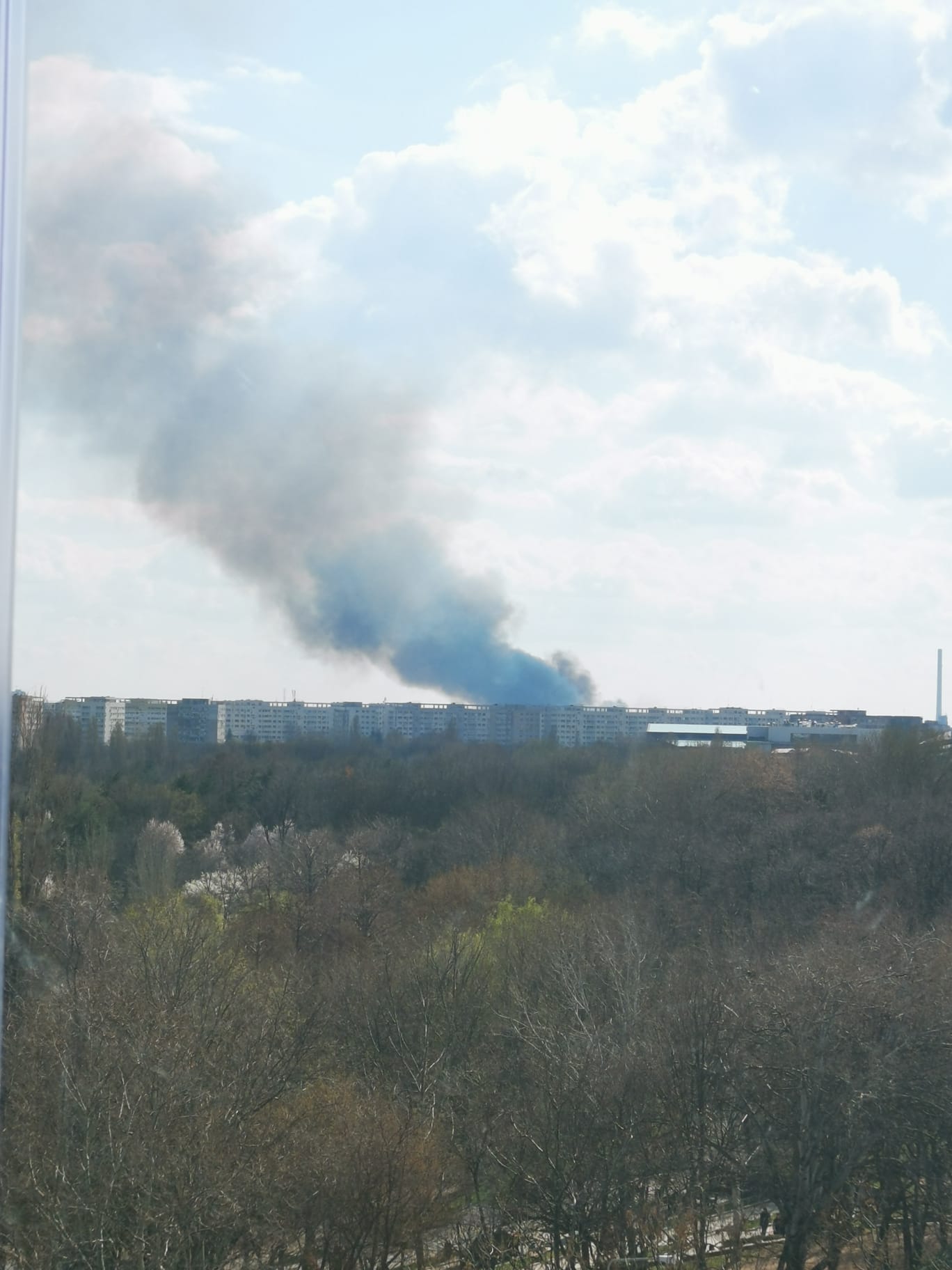 Incendiu in Delta Vacaresti