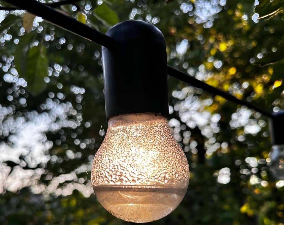 Echinocțiul de primăvară care are loc pe 20 martie