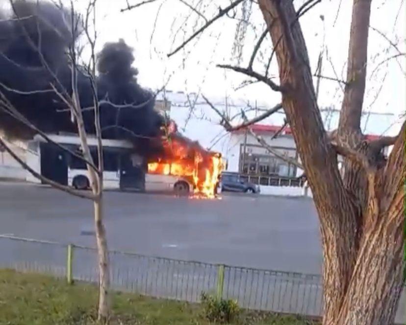 Troleibuz cuprins de flăcări pe Şoseaua Alexandriei!