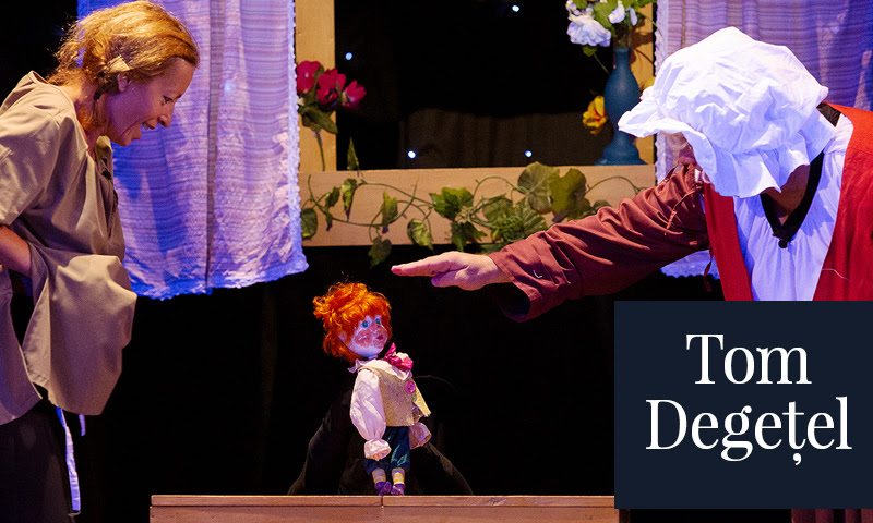 Zilele Teatrului la Țăndărică