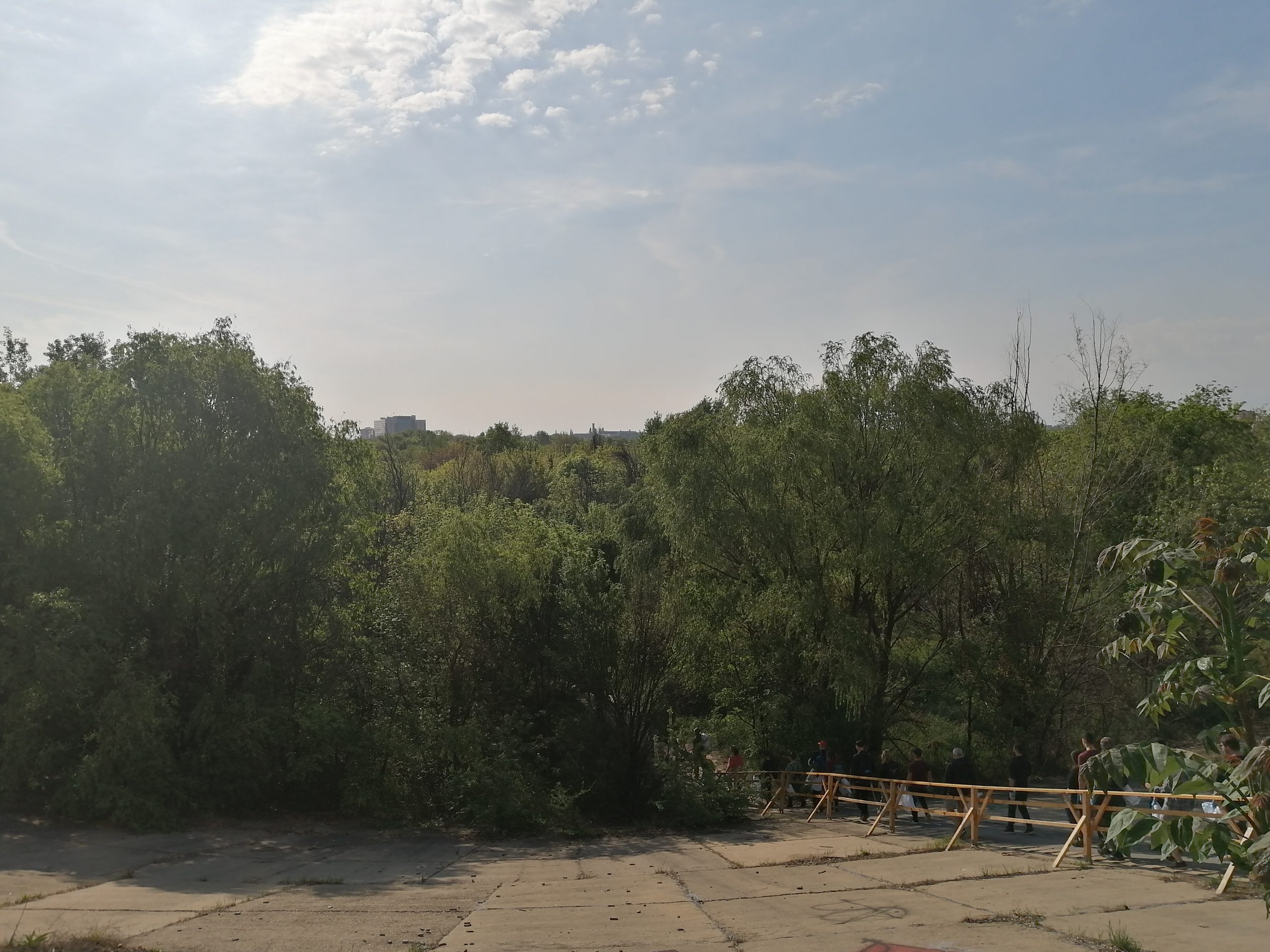 1.200 de puieţi de frasin, paltin, arţar şi păducel au fost plantaţi în zona exterioară Parcului Natural Văcăreşti