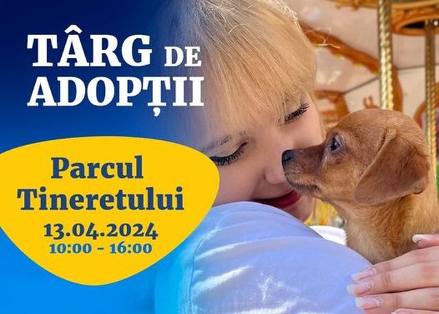 Un nou târg de adopții pentru căței în București