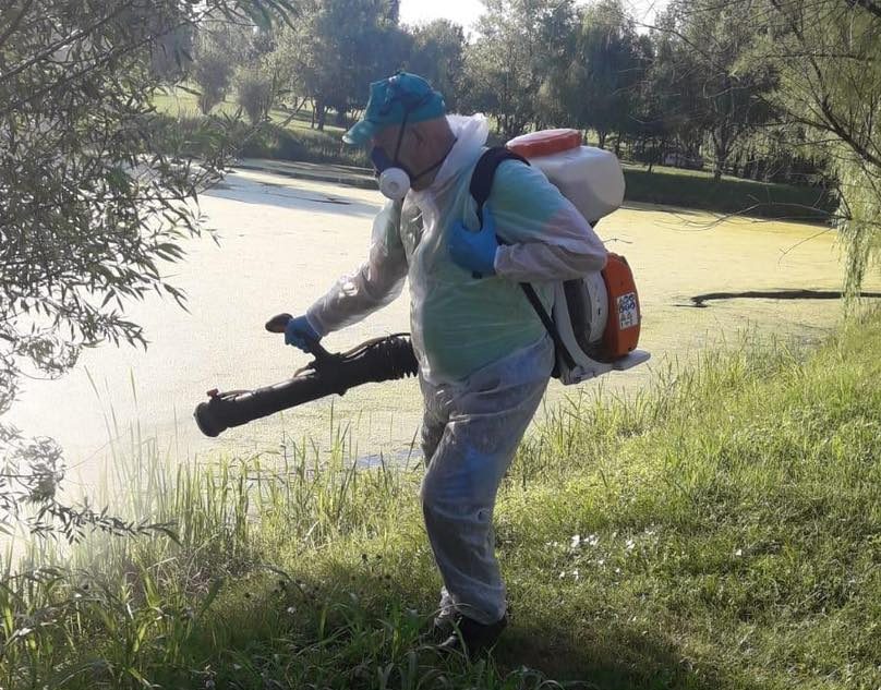 Au început tratamentele de combatere a larvelor de țânțari