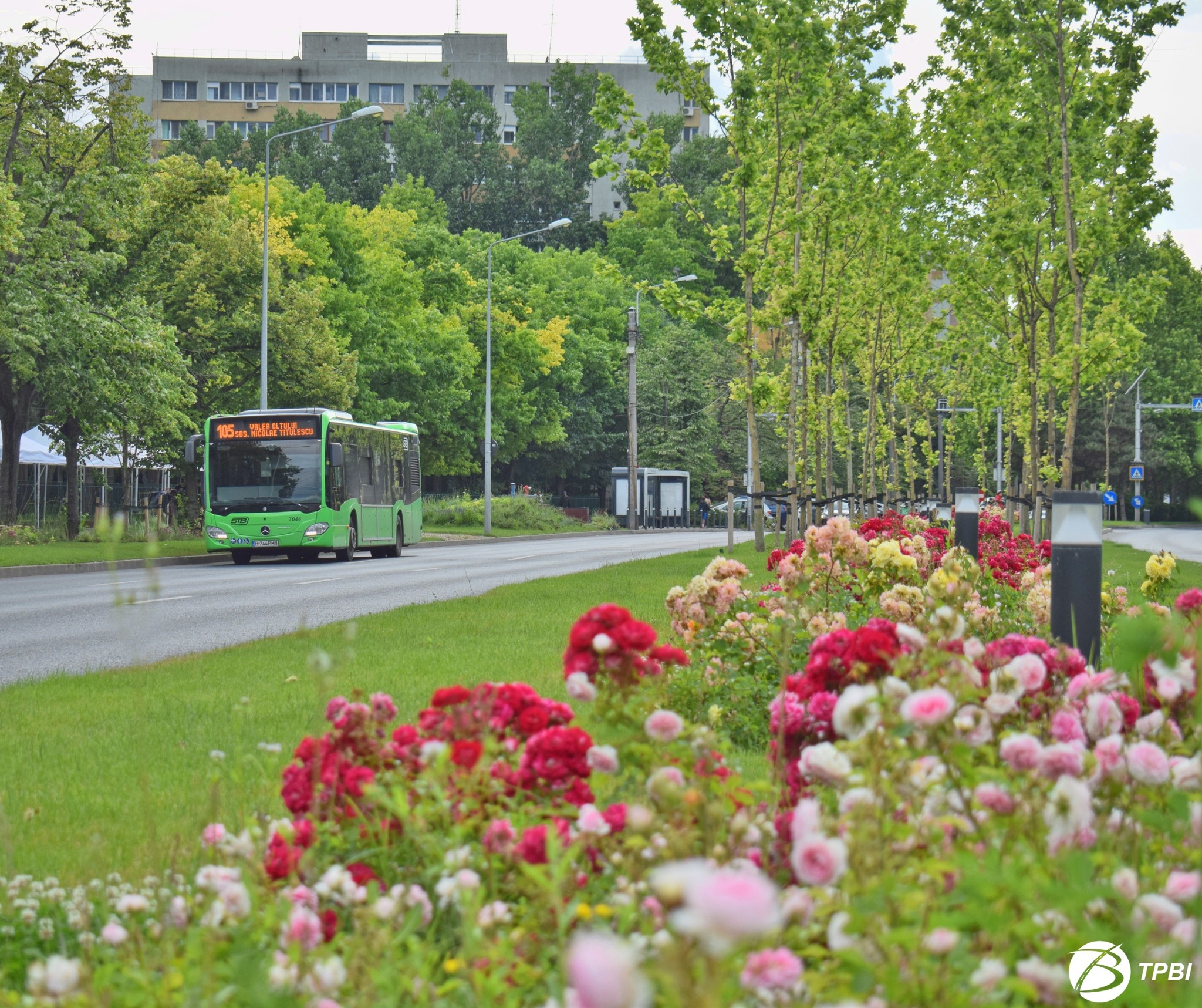 Traseele liniilor de autobuz 105, 168 şi N116 vor fi modificate în zona Drumul Taberei, în acest weekend