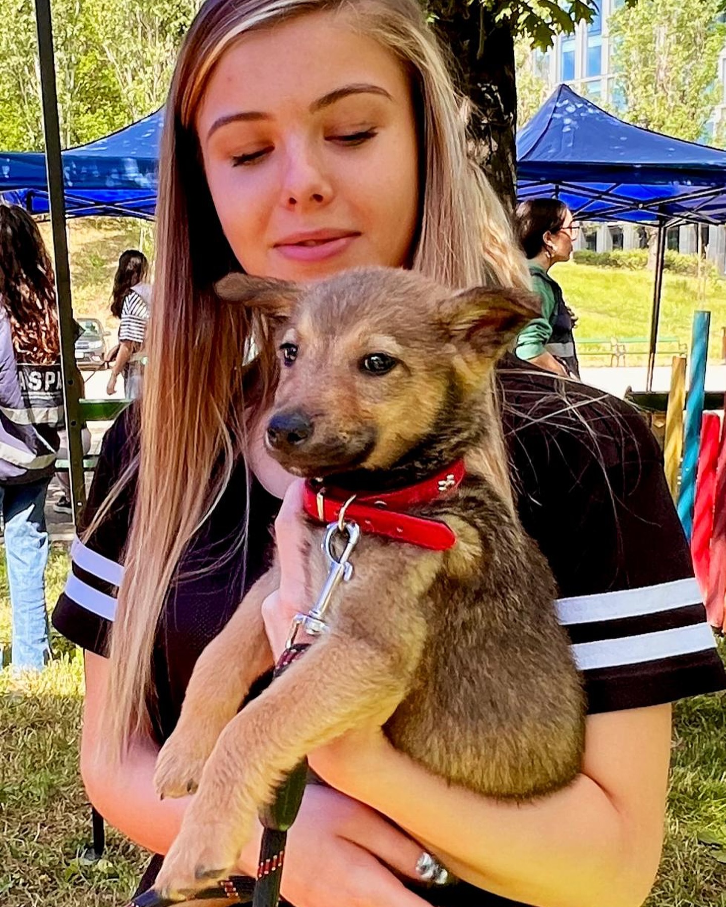 Sambata, targ de adoptii!