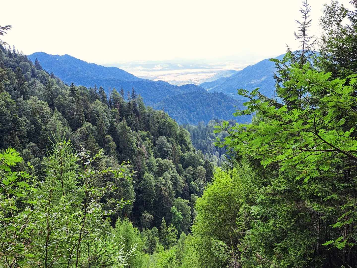 Salvamont a primit 20 apeluri prin care se solicita intervenţia de urgenţă