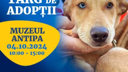 Târg de adopții la Muzeul “Grigore Antipa”, cu ocazia Zilei Internaționale a Animalelor fără Stăpân