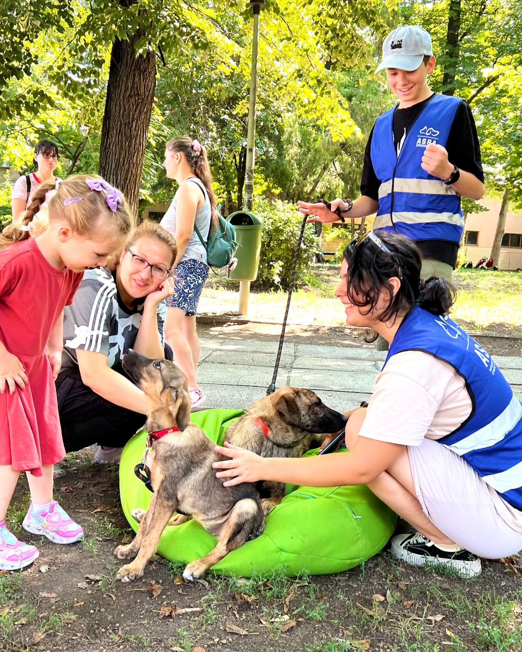 Târg de adopții, organizat de ASPA!