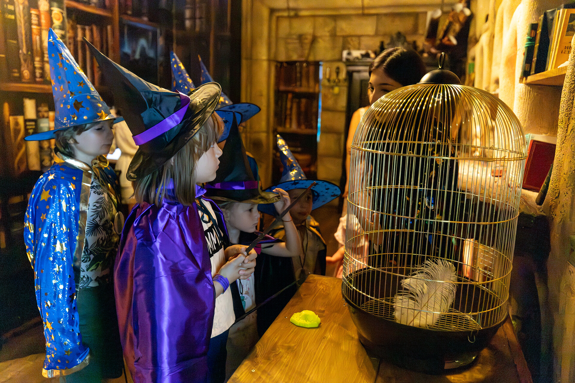 Magie, la Muzeul Copiilor!