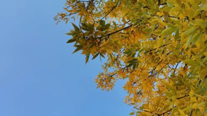 Vreme frumoasă, luni, în București!