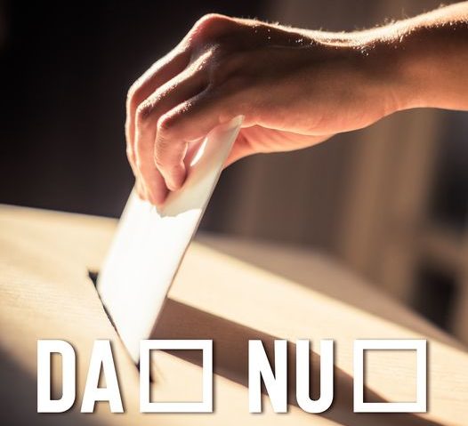 Referendumul a trecut în Parlament și merge la Klaus Iohannis pentru promulgare!