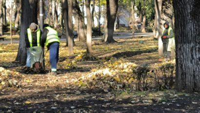 Sector 4: Compania Totul Verde a decis să întrerupă utilizarea suflantelor