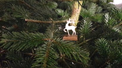 Bine de citit: “Renul rătăcit”