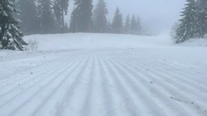 Prahova: Schiori care din cauza ceţii nu mai ştiau dacă sunt pe pârtie, recuperaţi de jandarmi