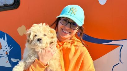 Sterilizări gratuite, în Berceni, pentru câini și pisici fără stăpân!