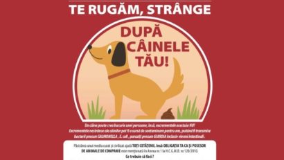 Amenzi de până la 500 de lei pentru cei care nu strâng după câinii lor!