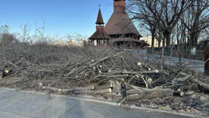 Poliţia Locală Sector 3 a sancţionat organizatorii unui târg de sărbători neautorizat în zona retrocedată din Parcul IOR