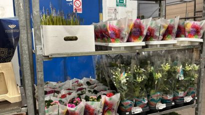 Control ANPC la florăriile din Sectorul 5