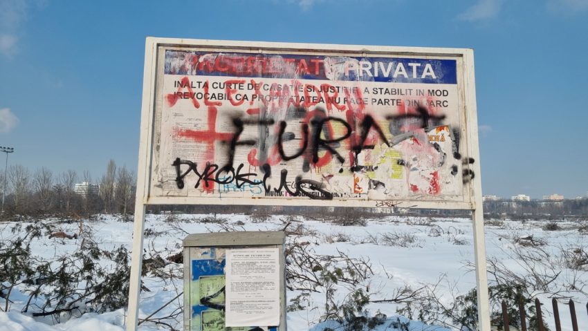 Parcul IOR – de la defrișări ilegale la proteste cu suc de sfeclă