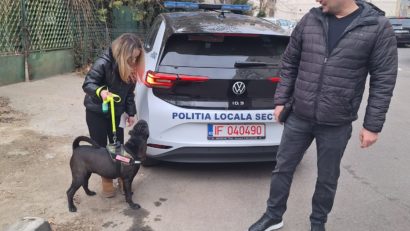 Primăria sectorului 3: Te rugăm, strânge după câinele tău!