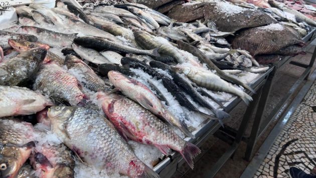 Cum alegi în siguranță peștele și produsele din pește? Sfaturi utile de la InfoCons înainte de Duminica Floriilor!