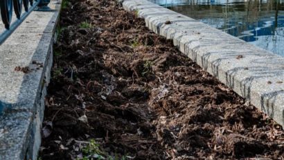 Angajații ALPAB și Nod Makerspace au strâns deșeuri și au plantat arbuști pe malul Dâmboviței, în zona Timpuri Noi.