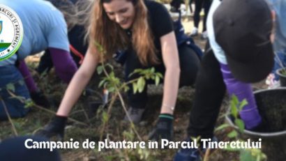 ALPAB: Plantări în Parcul Tineretului