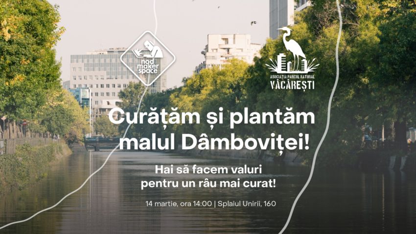 Acţiune de ecologizare şi plantare de arbuşti, pe malul Dâmboviţei