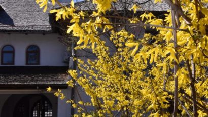 Muzeul Satului trece la programul de vară, începând cu 1 aprilie