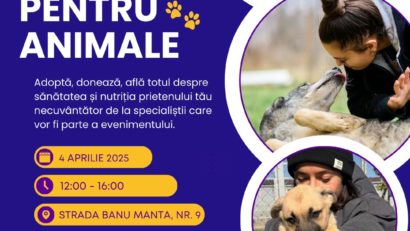 Primăria Sectorului 1 sărbătorește Ziua Animalelor fără Stăpân printr-o campanie de adopții