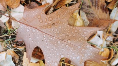 Joi, avem cer noros şi condiţii de burniţã sau ploaie slabã