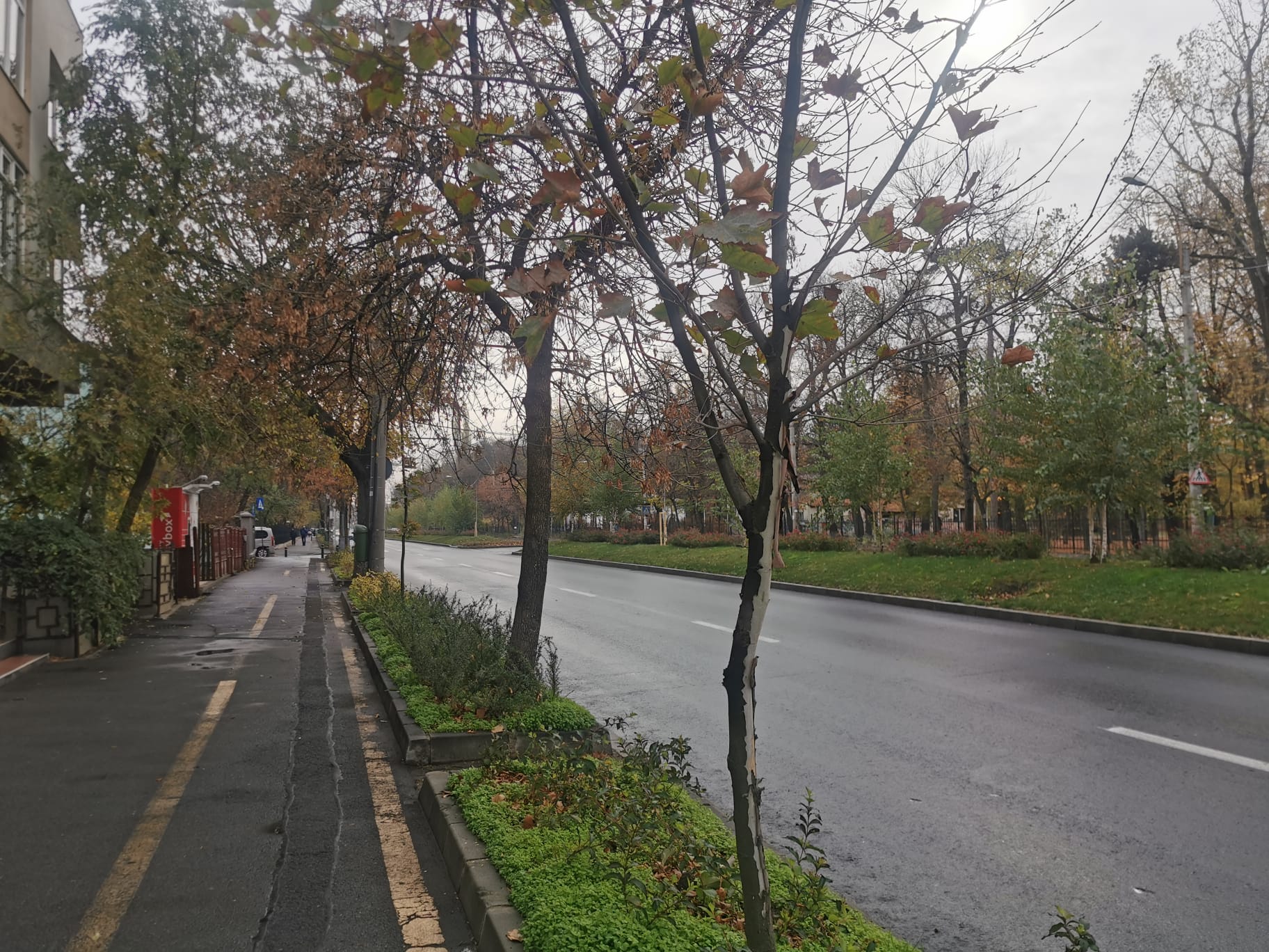 Ploile din Capitală: Ce surprize ne așteaptă astăzi?