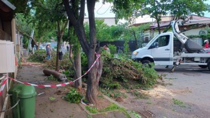 Probleme din cauza vântului puternic, în Capitală!