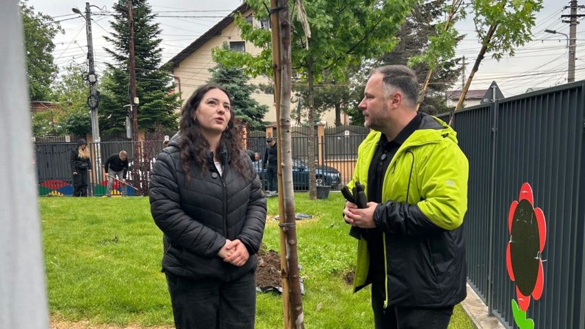 40 de mii de copaci vor fi plantați în Sectorul 2!