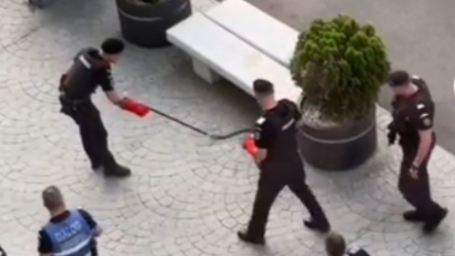 Un șarpe a stârnit panică în Piața Victoriei din București!