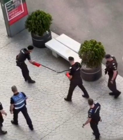 Un șarpe a stârnit panică în Piața Victoriei din București!