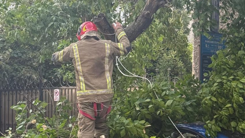 Două persoane, rănite de crengi căzute în urma furtunii din Bucureşti; 388 de intervenţii ale pompierilor