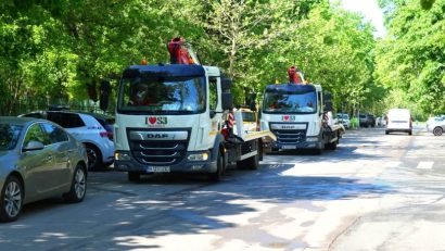 “Toaletări şi defrişări S3”, pagină de Facebook la dispoziţia locuitorilor Sectorului 3