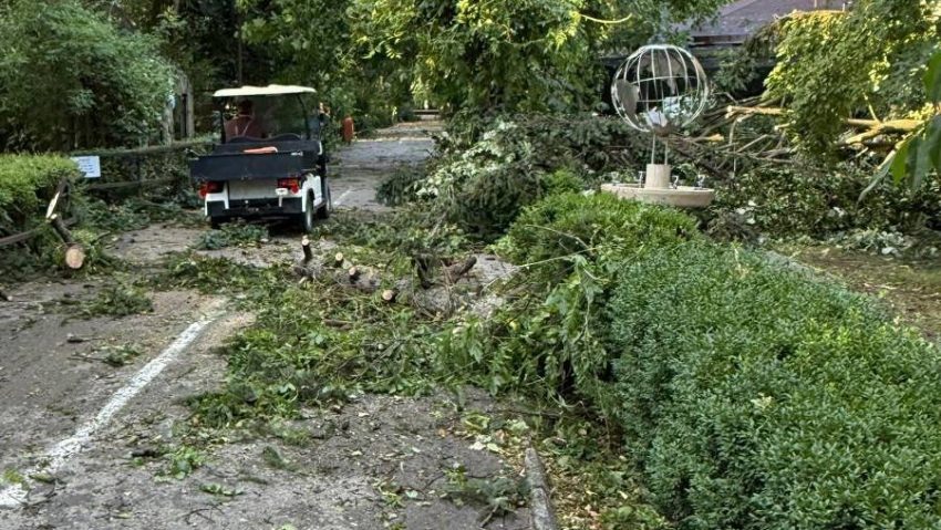 Grădina Zoologică Bucureşti se închide pentru trei zile, în urma furtunii de joi