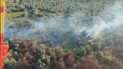 Incendiu, in Delta Dunarii
