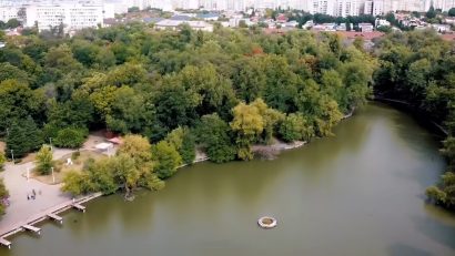 Protest pentru salvarea copacilor din Capitală!
