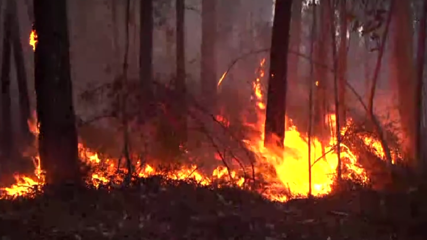 Incendiile de vegetație fac ravagii în Spania: Mii de persoane evacuate, zone întinse afectate