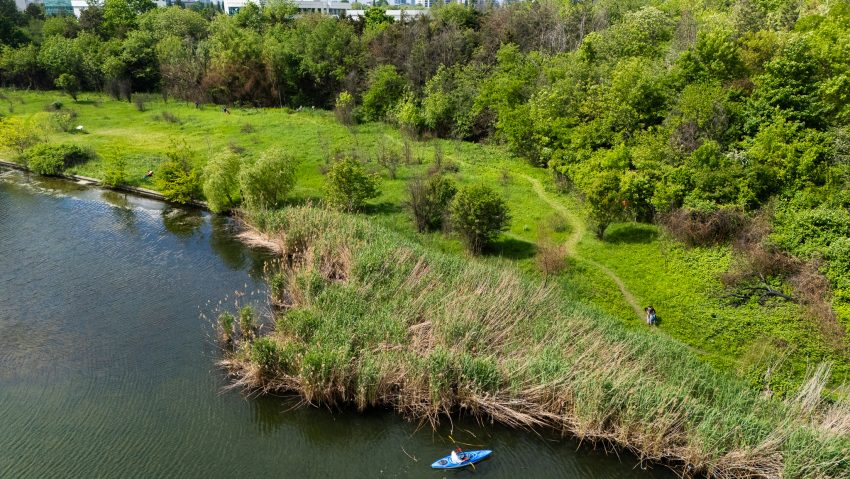 Pajistea Petricani, arie protejată!