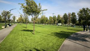 Daniel Băluță propune construirea parcului „Donald Trump” în Sectorul 4