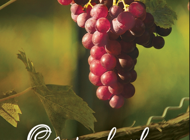 „Ziua Crucii – Cârstovul Viilor” la Muzeul Satului: Tradiții, artă populară și sărbătoarea toamnei, pe 13-14 septembrie