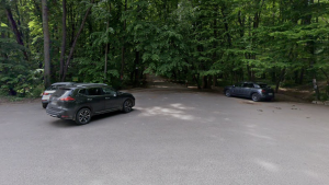 Prelungirea drumului forestier situat în Pădurea Băneasa a fost realizată fără documentaţia legală şi fără aprobări(raport)