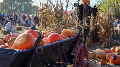 West Side Hallo Fest 2025 – Cel mai mare festival de Halloween din România revine, mai mare și mai spectaculos ca niciodată! 