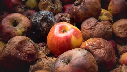 România marchează Ziua Internațională de Conștientizare a Pierderilor și Risipei Alimentare