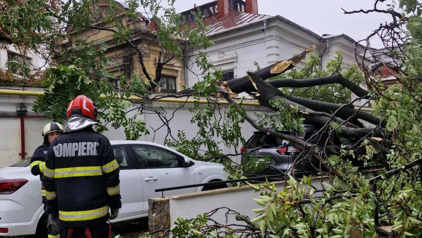 Cod portocaliu de vânt puternic- ISUBIF: 36 de intervenţii în Capitală şi Ilfov